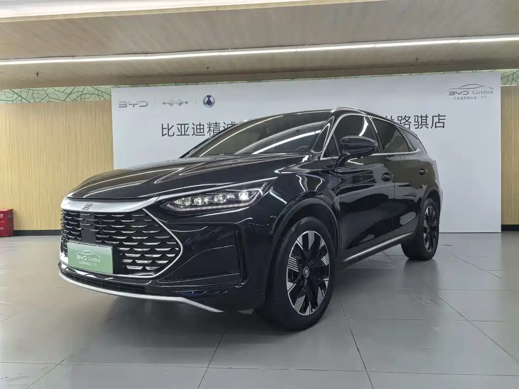BYD Tang New Energy 2024