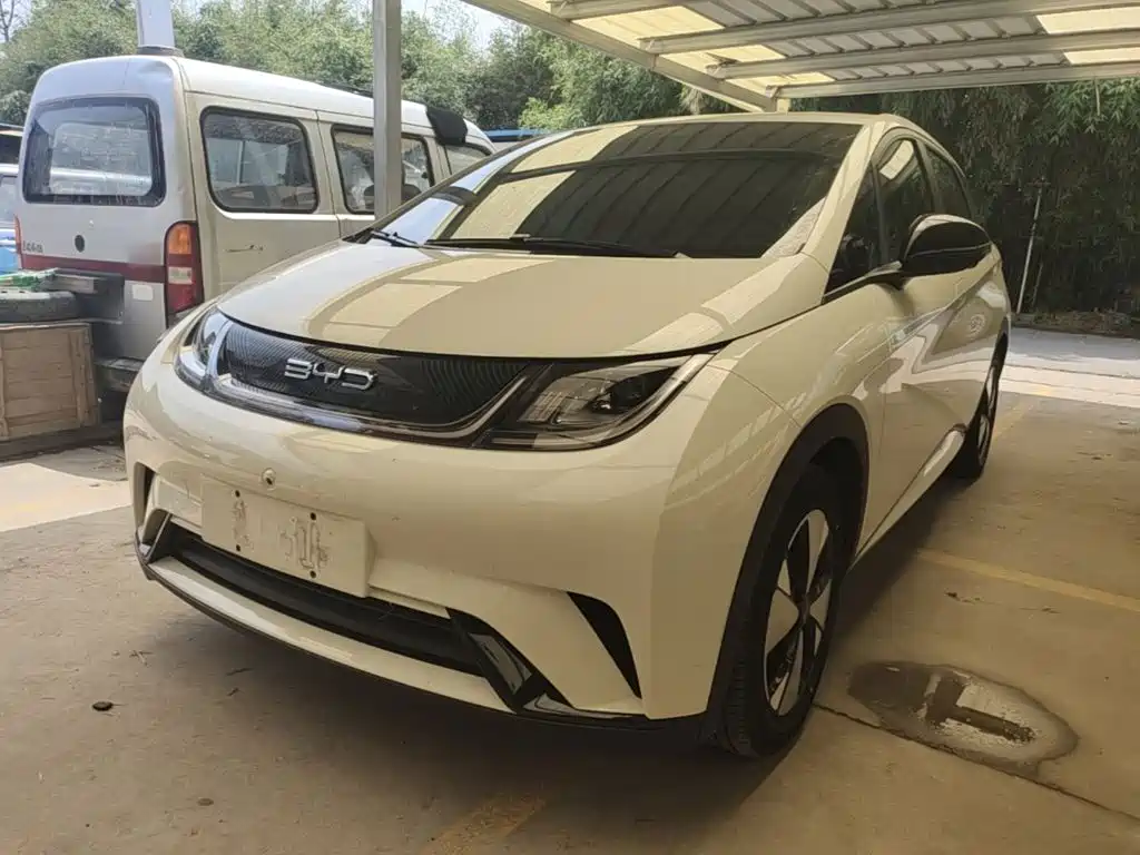 BYD Dolphin 2024