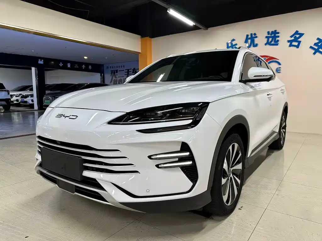 BYD PLUS New Energy 2024