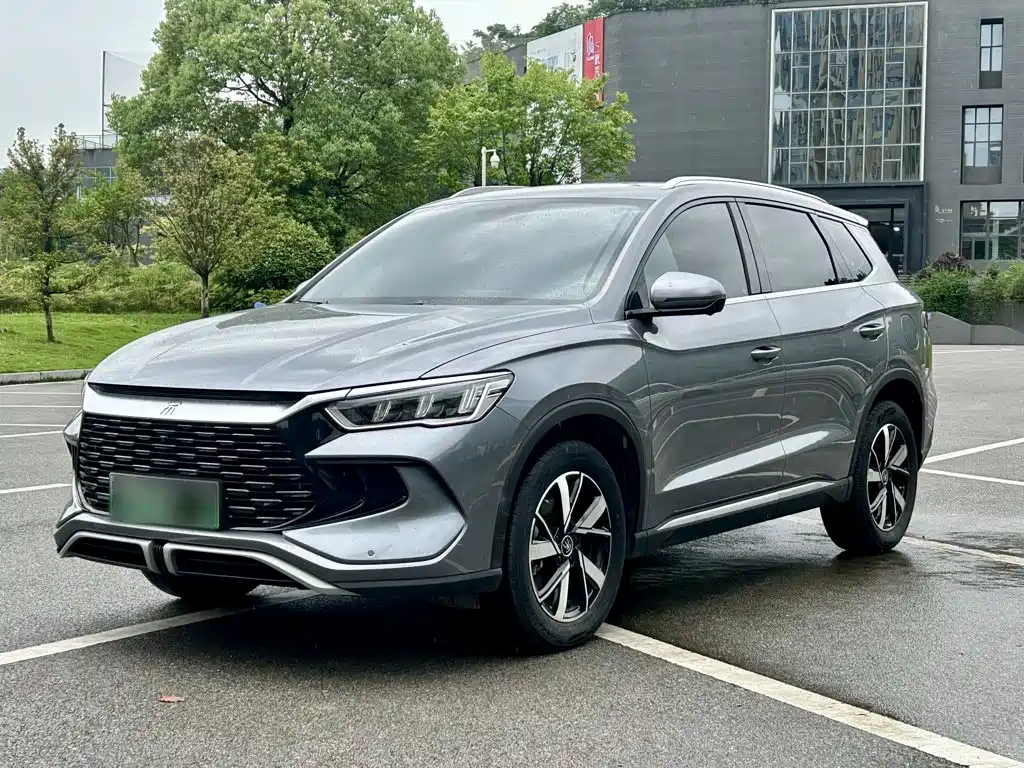 BYD Pro New Energy 2025
