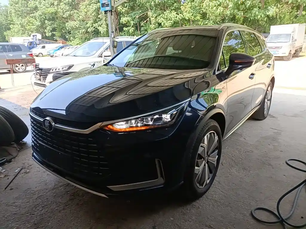 BYD Tang New Energy 2021