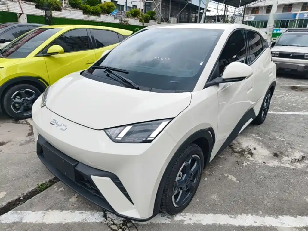BYD Seagull 2024