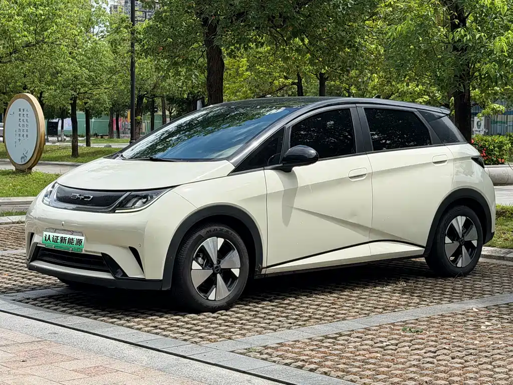 BYD Dolphin 2024