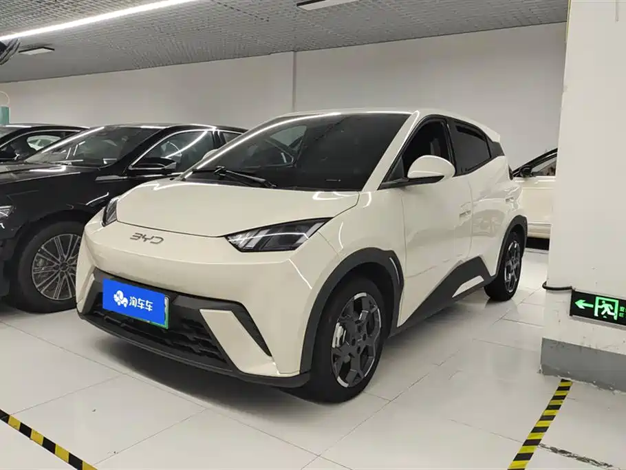 BYD Seagull 2024