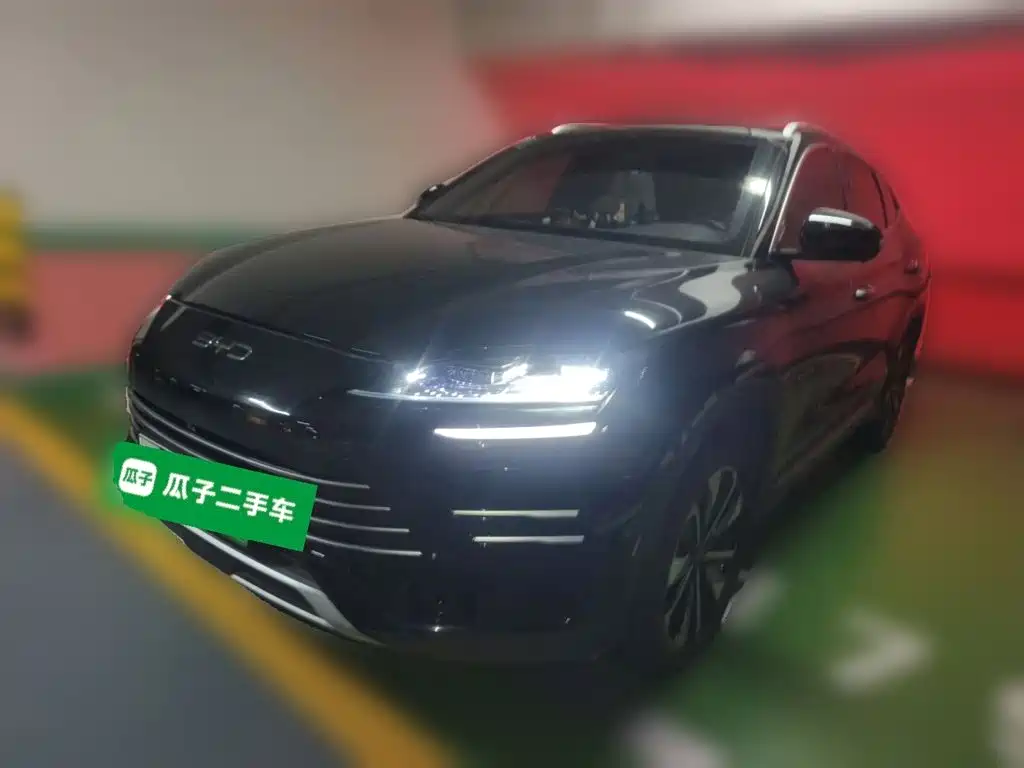 BYD PLUS New Energy 2025