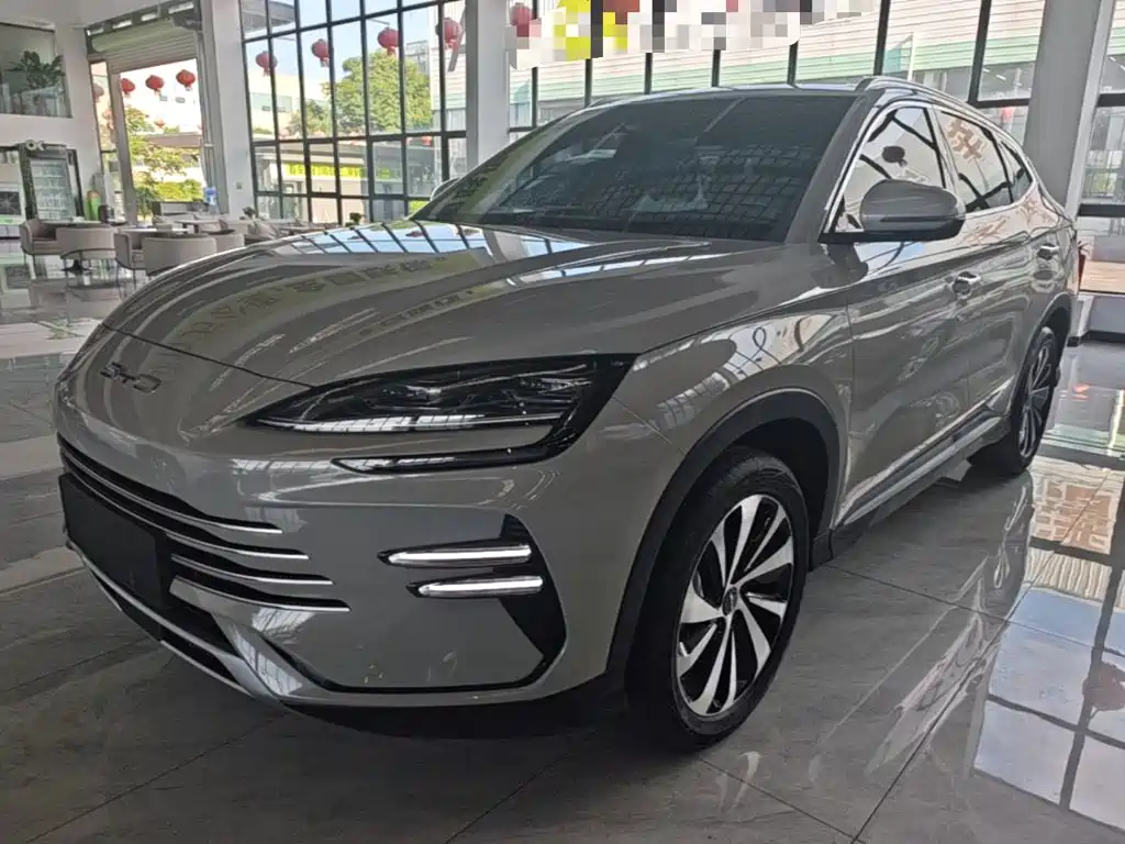 BYD PLUS New Energy 2024