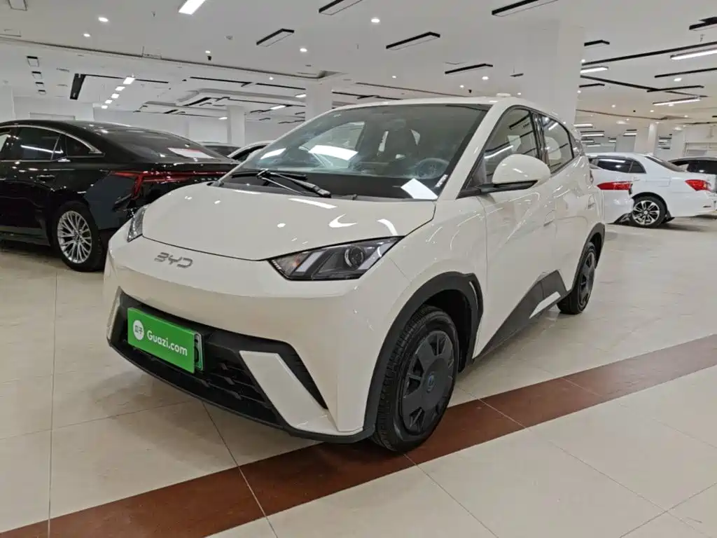 BYD Seagull 2024