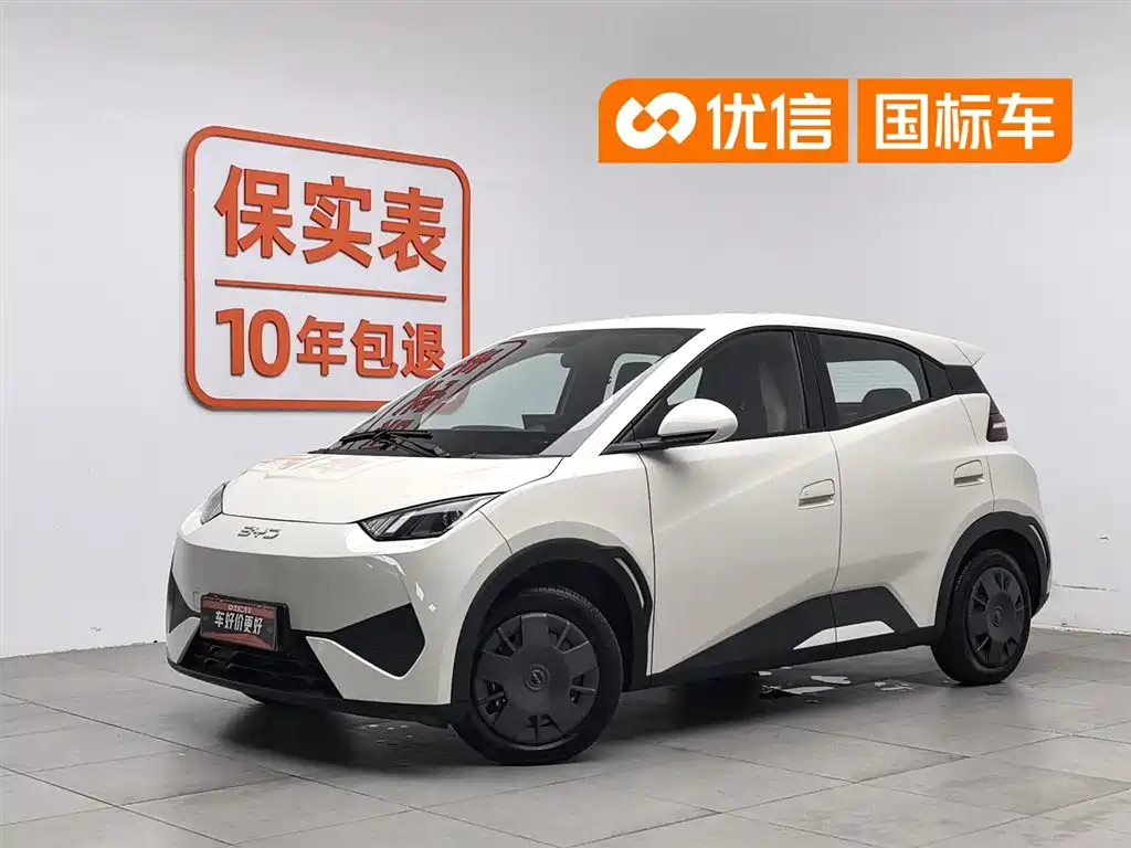 BYD Seagull 2025