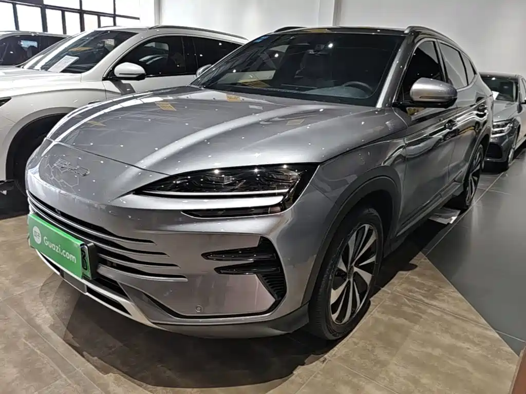 BYD PLUS New Energy 2024