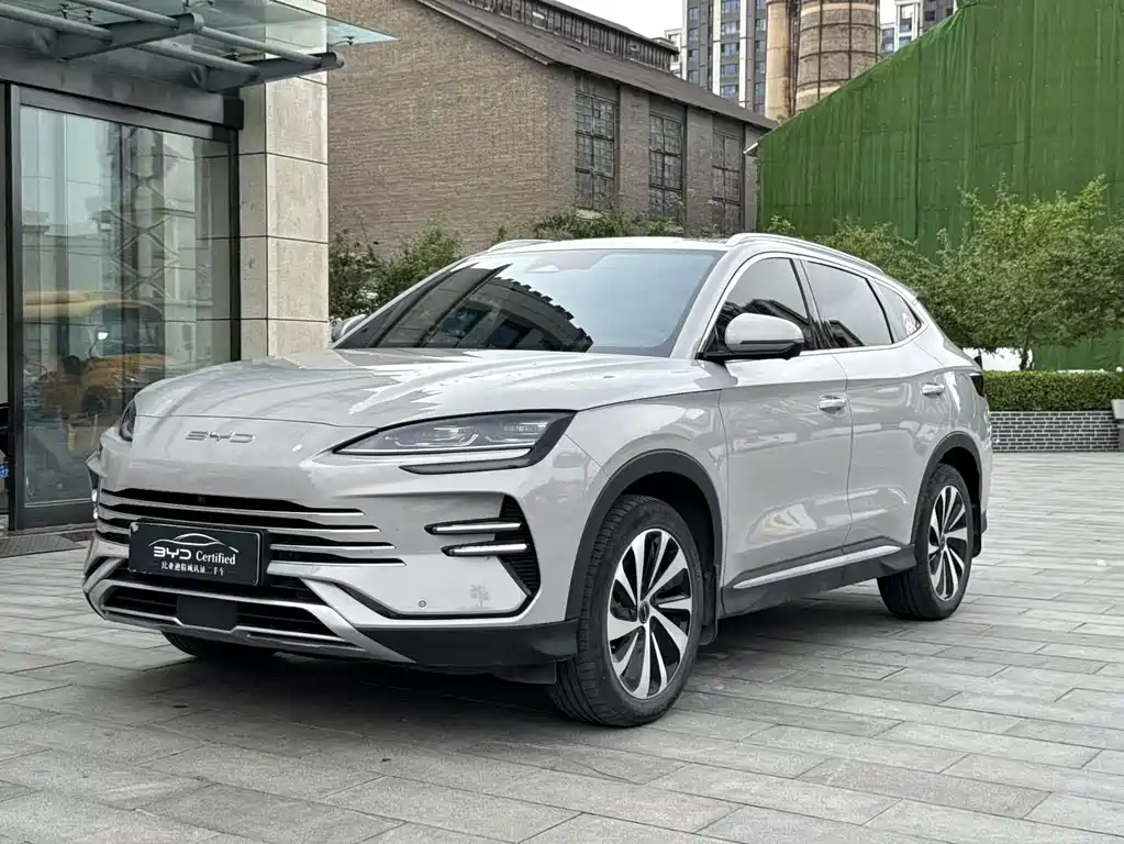 BYD PLUS New Energy 2024