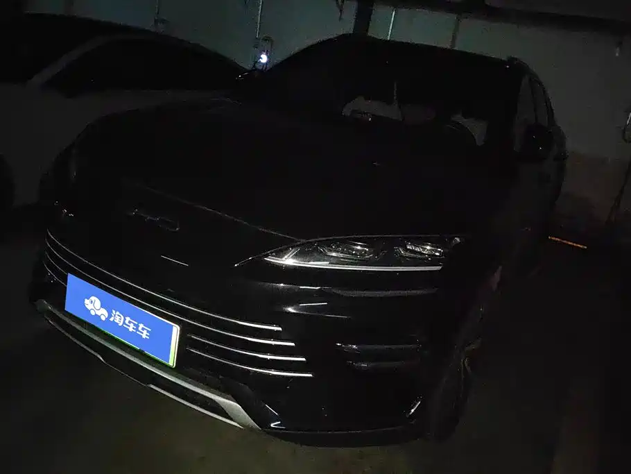 BYD Pro New Energy 2022
