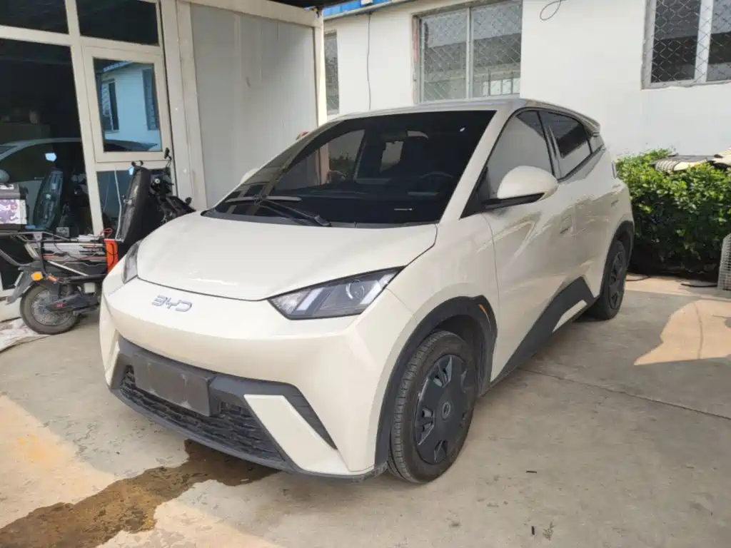 BYD Seagull 2024