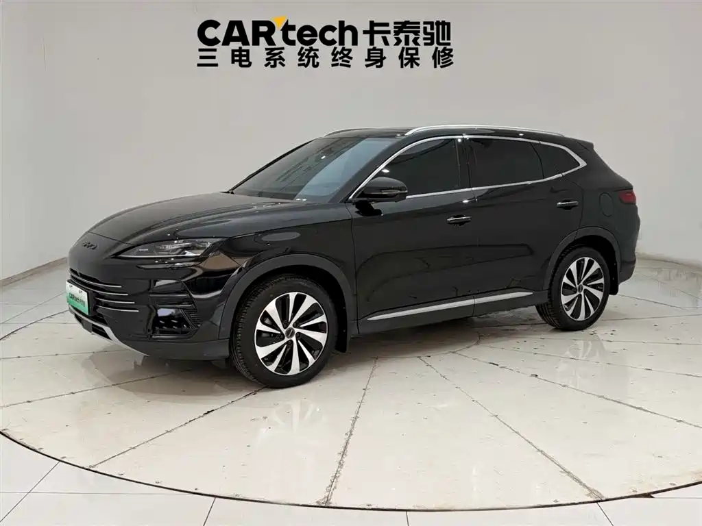 BYD PLUS New Energy 2024