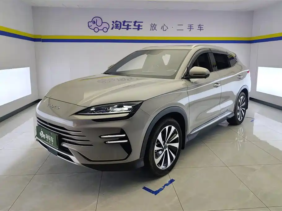 BYD PLUS New Energy 2024