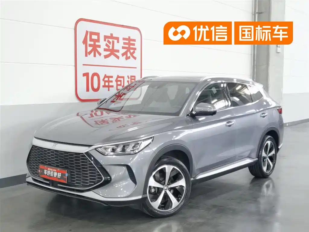 BYD PLUS New Energy 2022