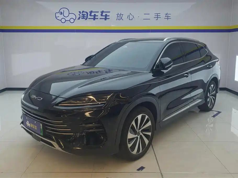 BYD PLUS New Energy 2024