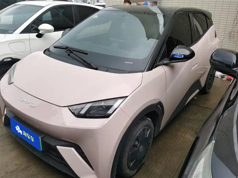 BYD Seagull 2024