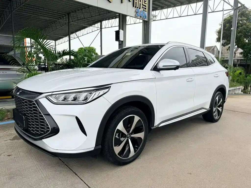 BYD PLUS New Energy 2022