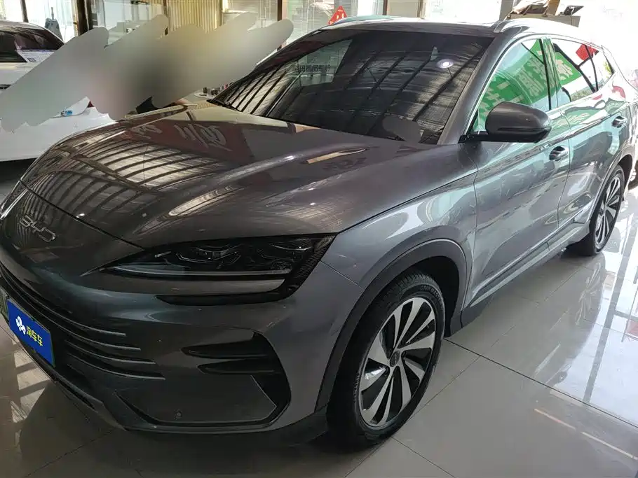 BYD PLUS New Energy 2024