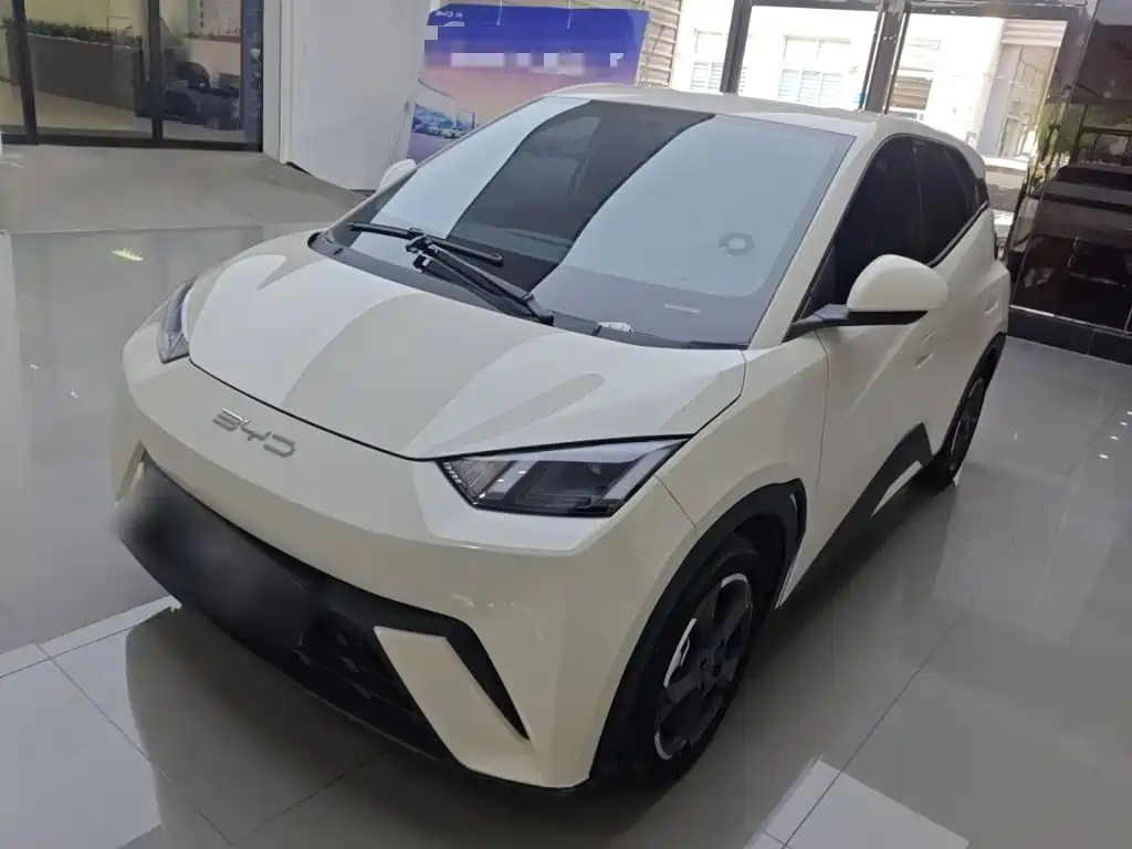 BYD Seagull 2024