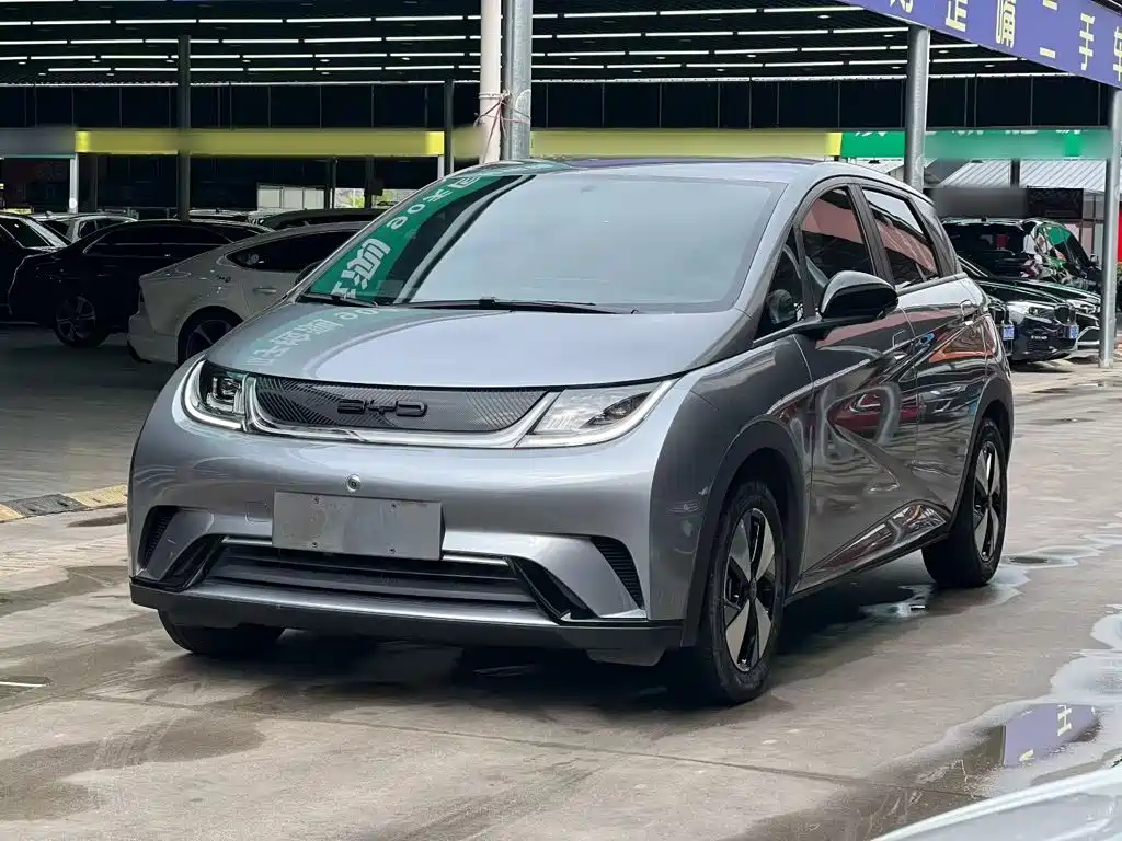 BYD Dolphin 2024