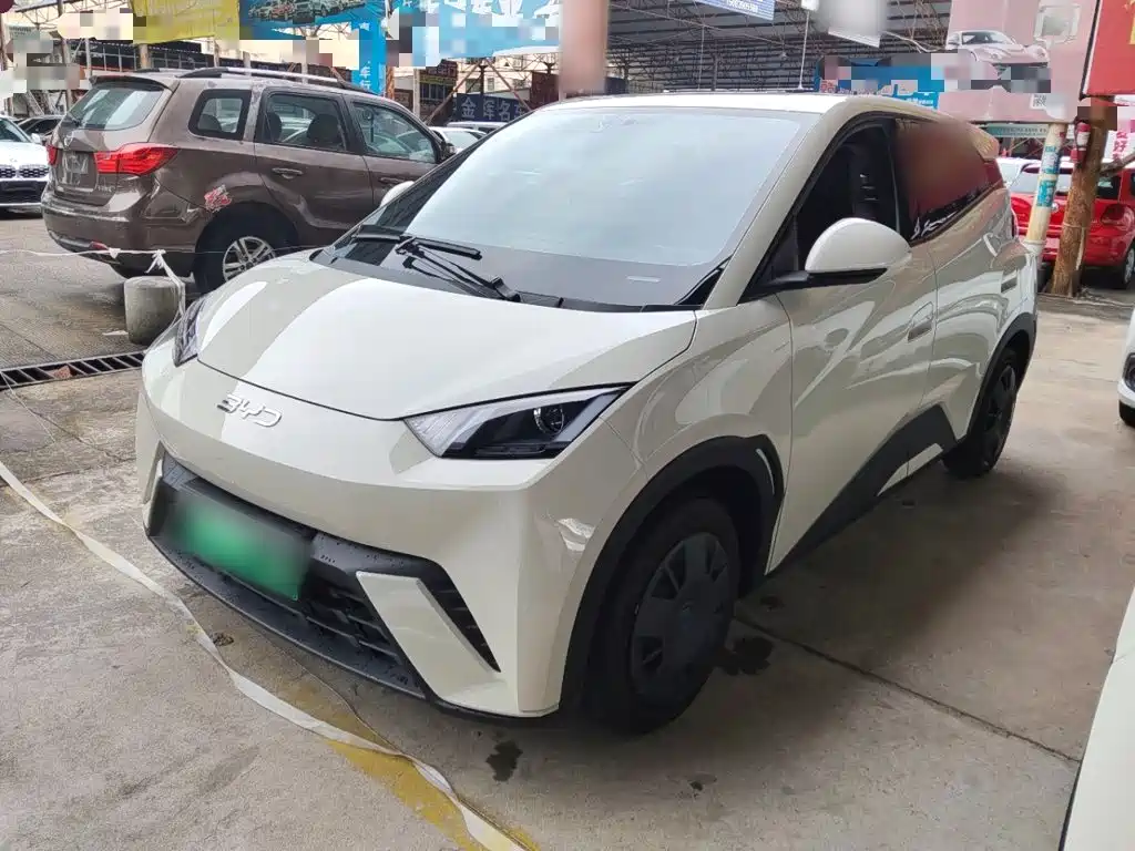 BYD Seagull 2024