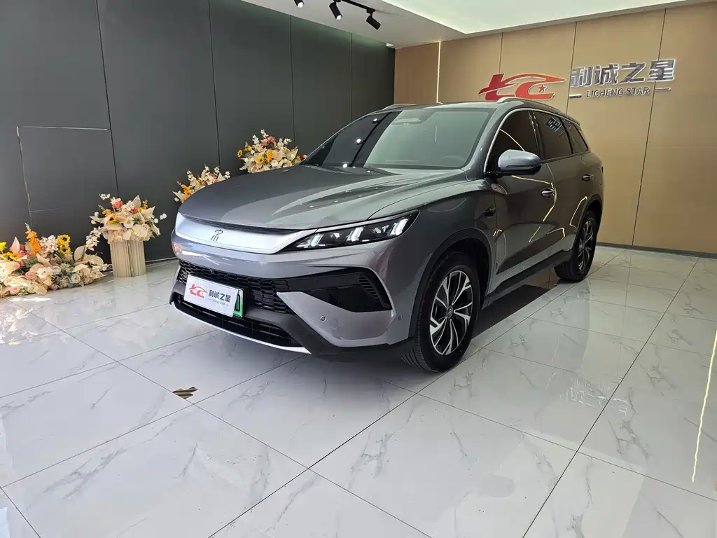 BYD Pro New Energy 2025