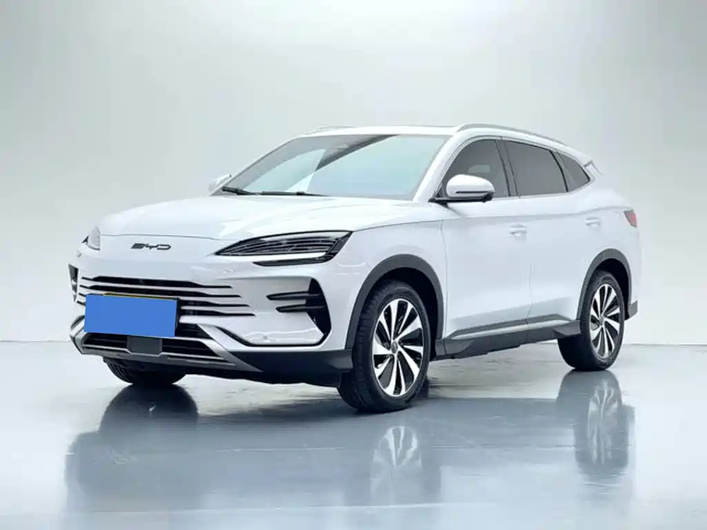 BYD PLUS New Energy 2024