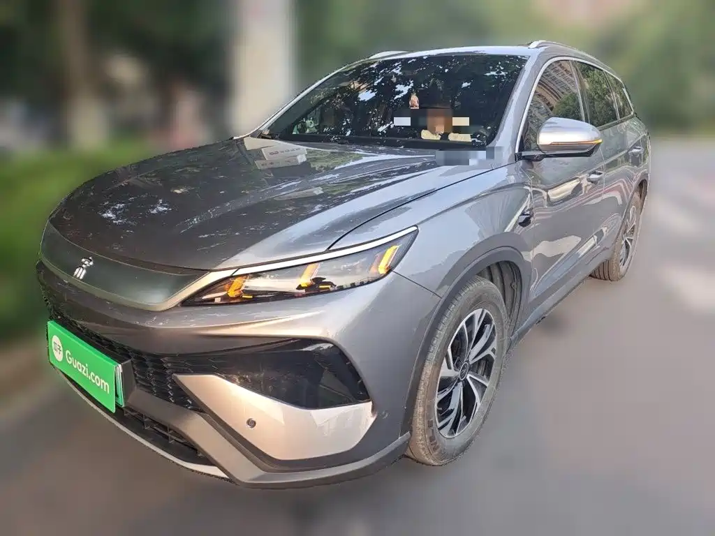 BYD Pro New Energy 2025