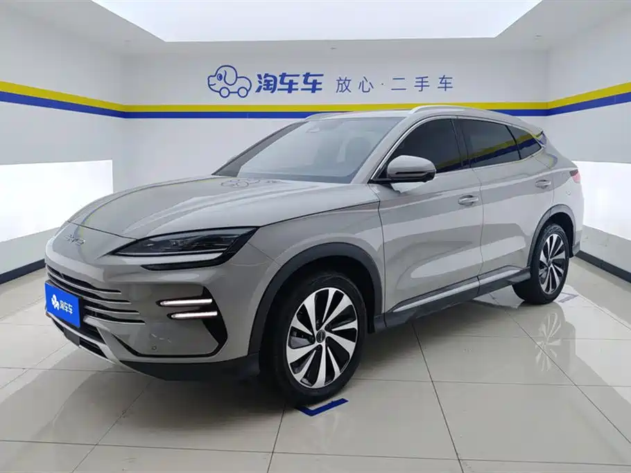 BYD PLUS New Energy 2024
