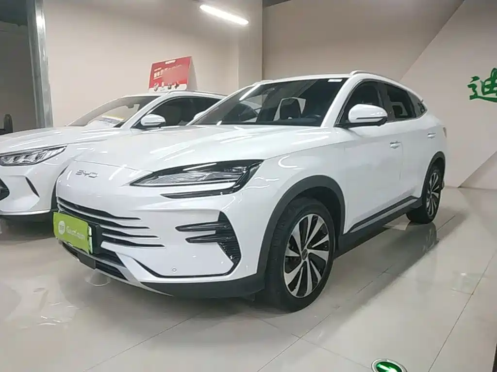 BYD PLUS New Energy 2024