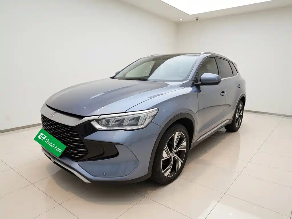 BYD Pro New Energy 2024