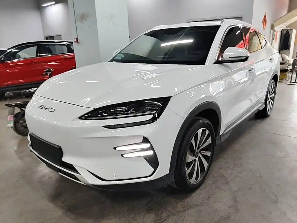 BYD PLUS New Energy 2024