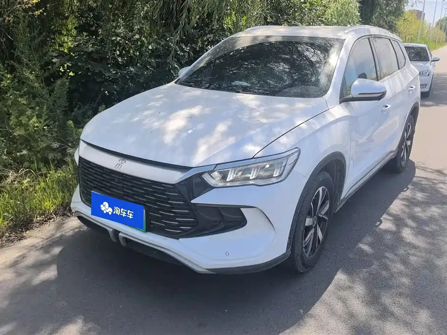 BYD Pro New Energy 2024