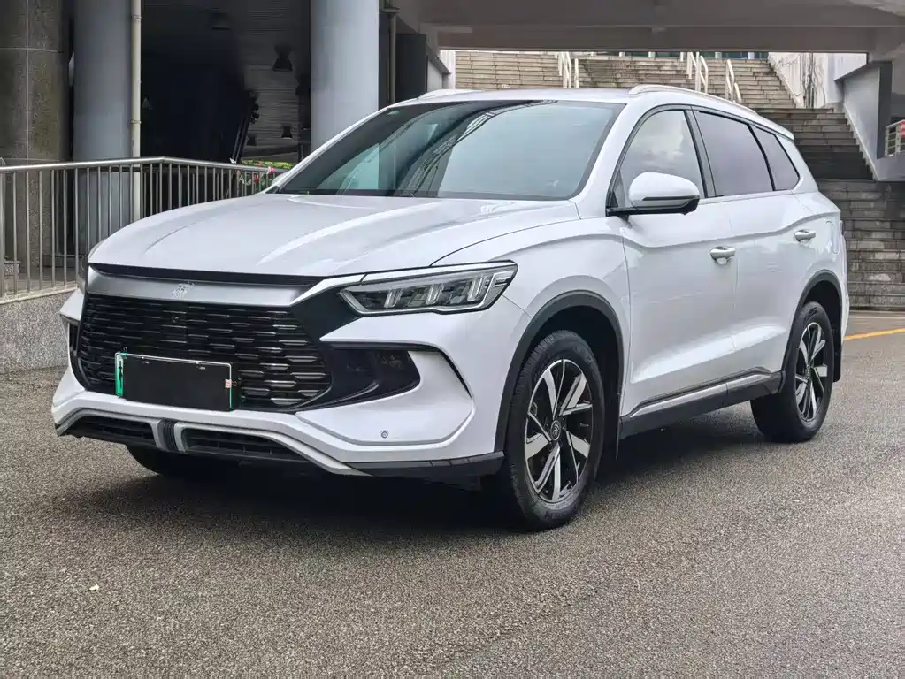 BYD Pro New Energy 2024