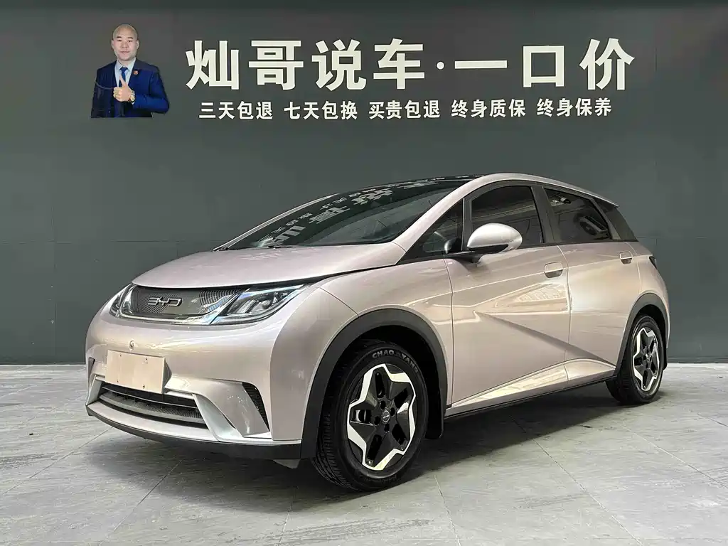 BYD Dolphin 2022