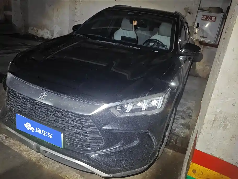BYD Pro New Energy 2024