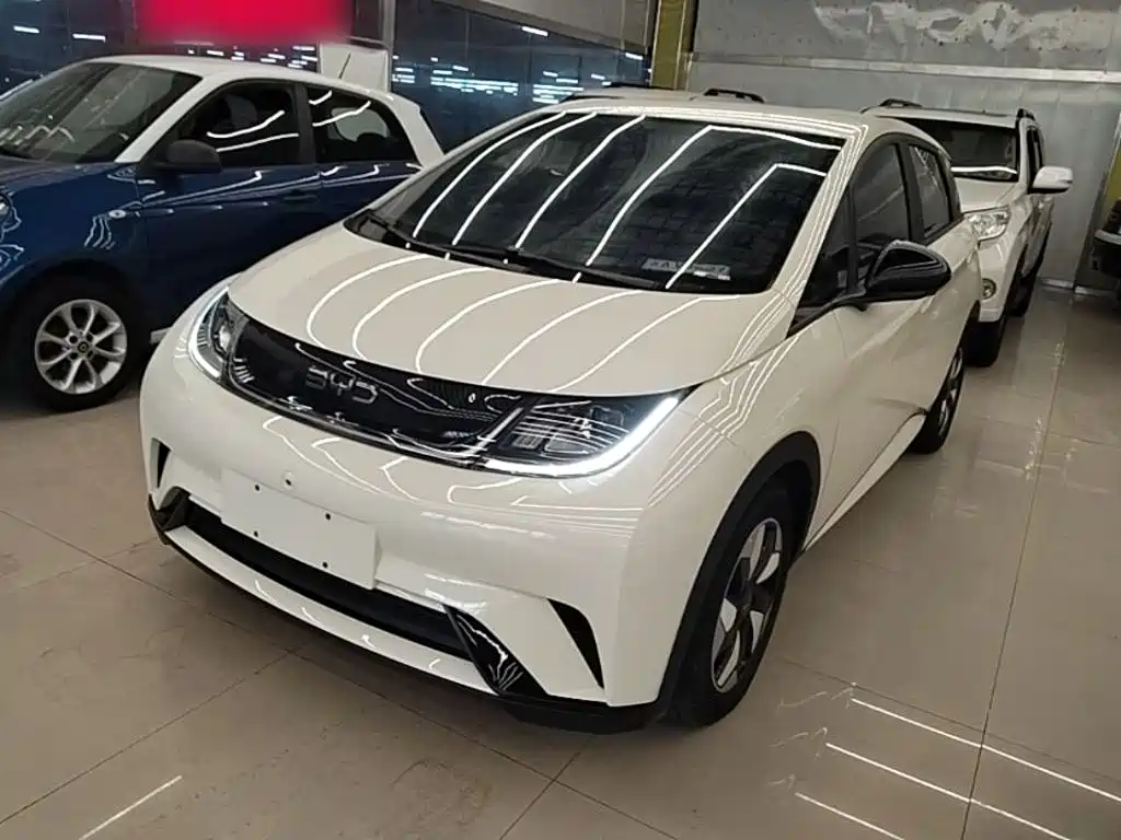 BYD Dolphin 2024