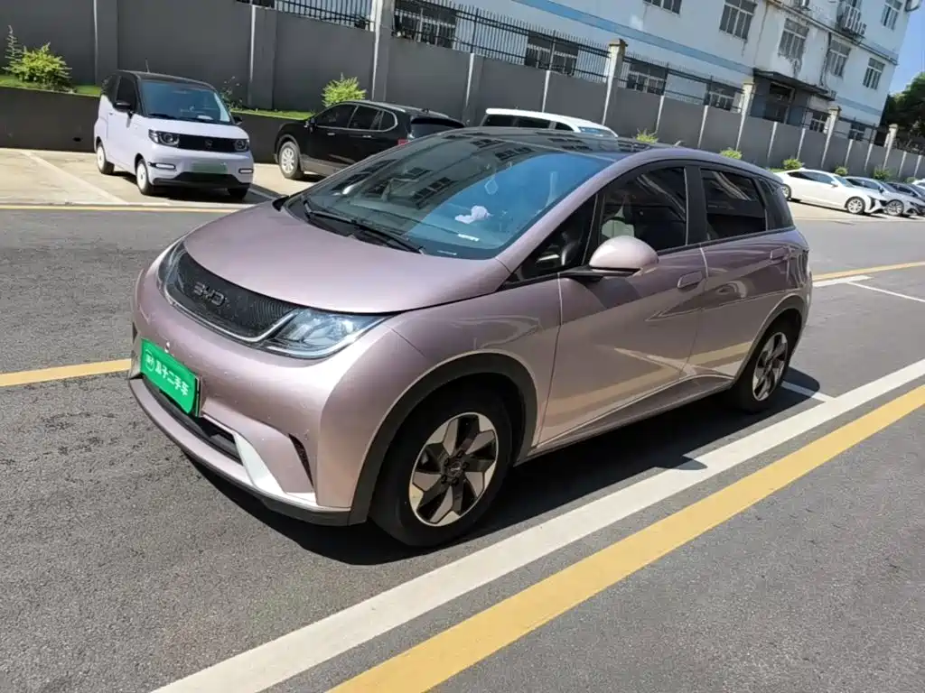 BYD Dolphin 2024