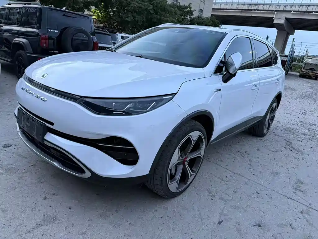 Denza Denza X 2021