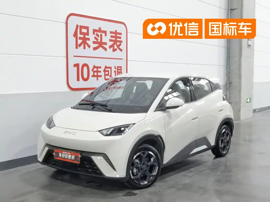 BYD Seagull 2024