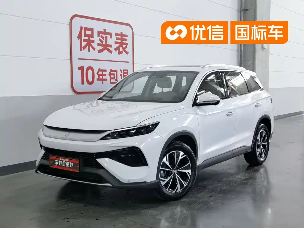 BYD Pro New Energy 2025