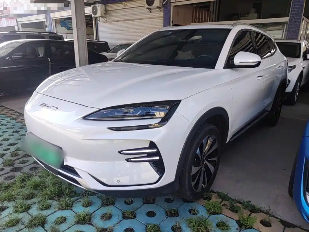 BYD PLUS New Energy 2024