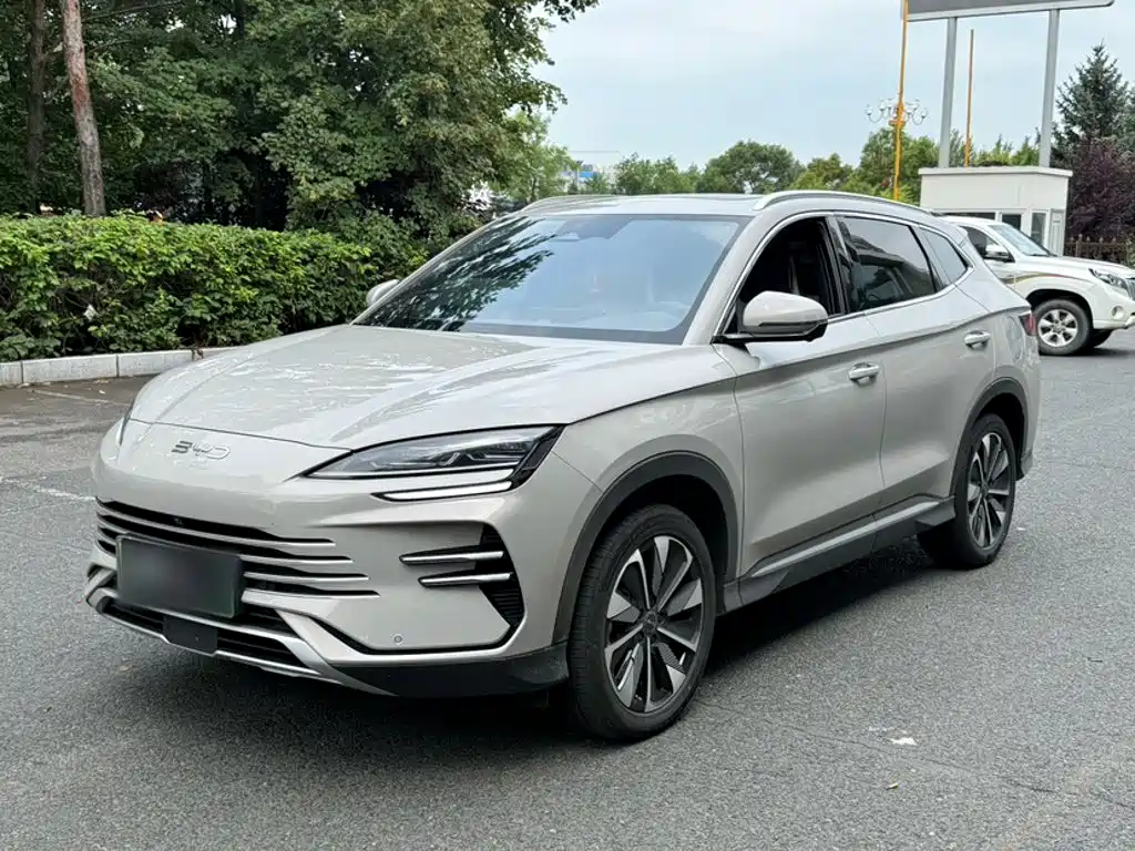BYD PLUS New Energy 2025