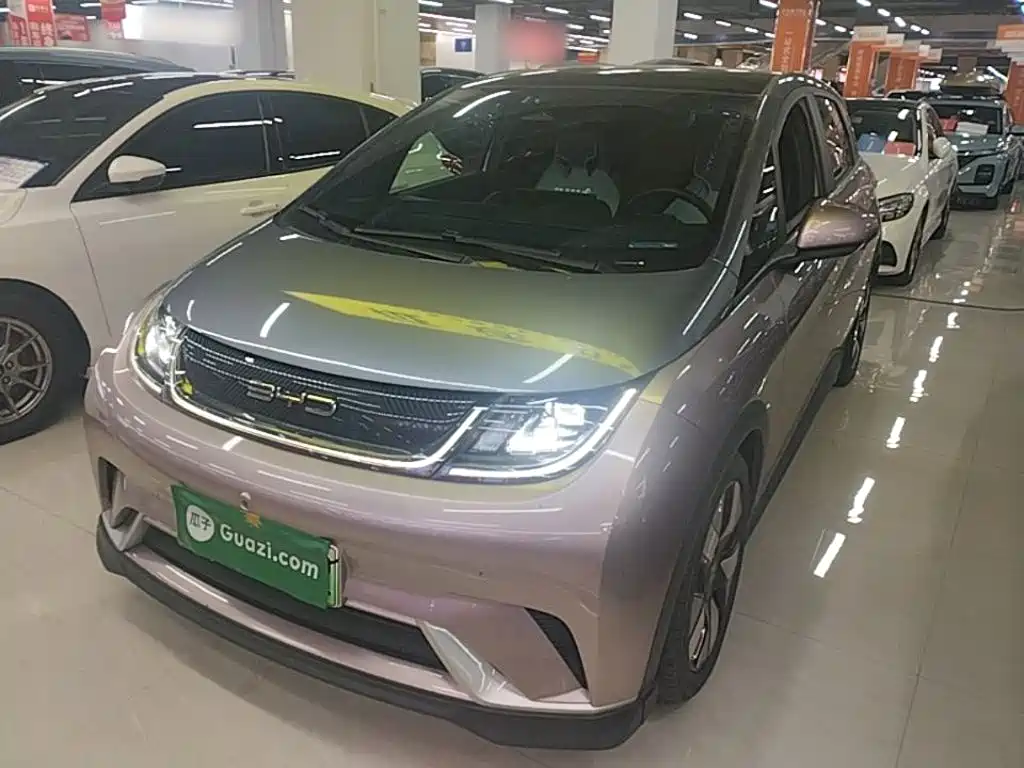 BYD Dolphin 2022