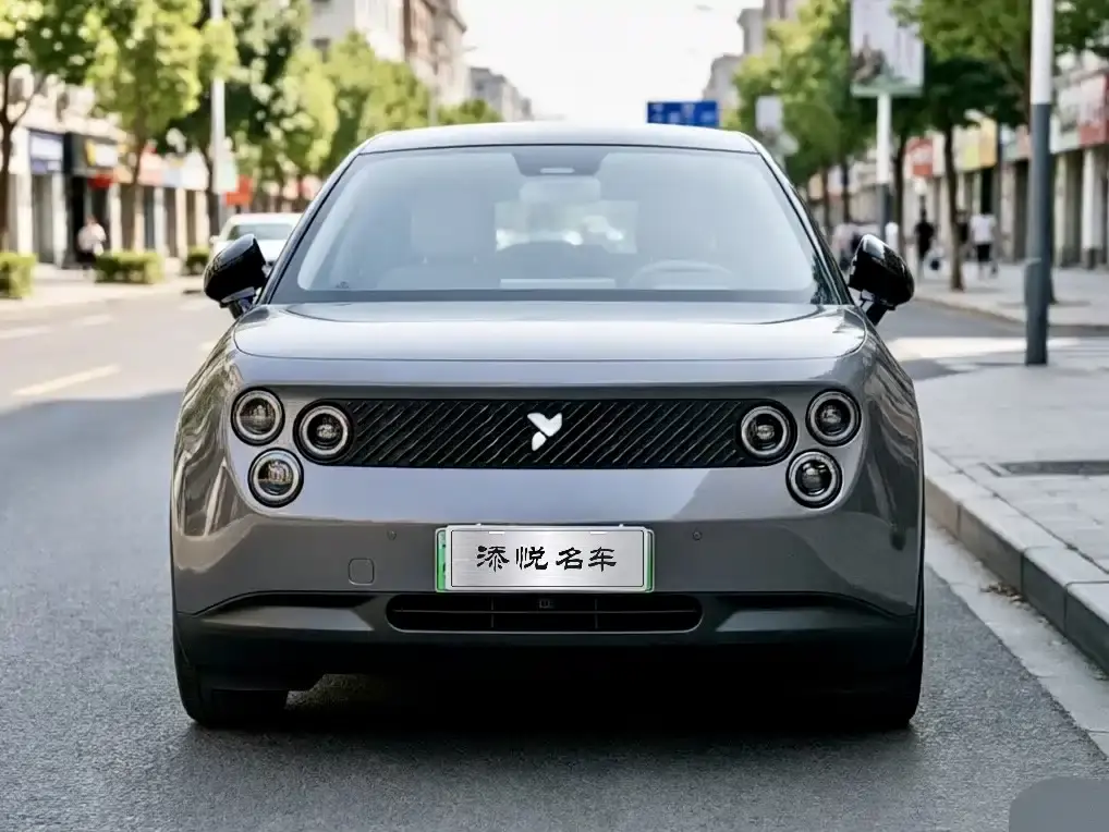 firefly firefly 2025 luminous version