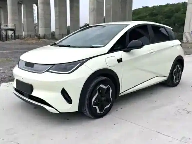 BYD Dolphin 2025
