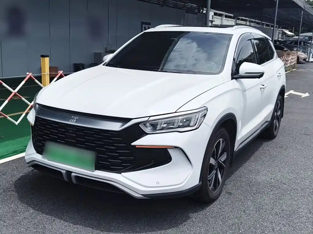 BYD Pro New Energy 2024