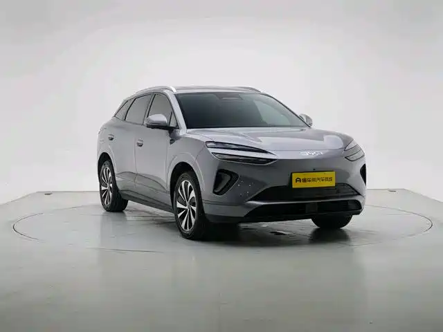 BYD 海狮06 2025