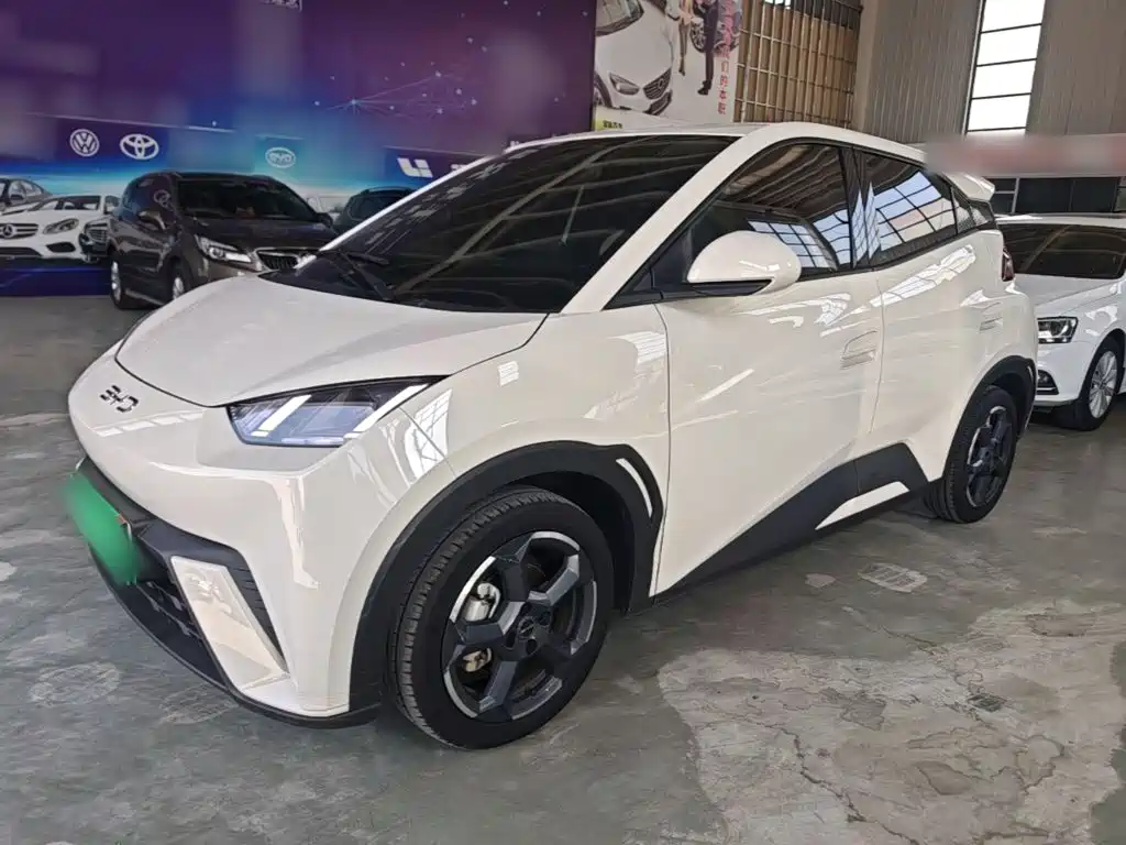 BYD Seagull 2024